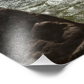 ウィンドサーフィン – フォトプリント (角)