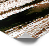 ウィンドサーフィン ポスター (角)