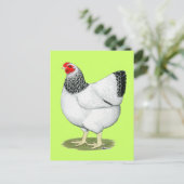 ウィンドット：コロンビアヘン ポストカード (スタンド正面)