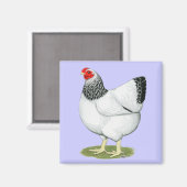 ウィンドット：コロンビアヘン マグネット (正面/裏面)