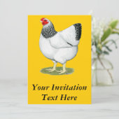 ウィンドット：コロンビアヘン 招待状 (スタンド正面)