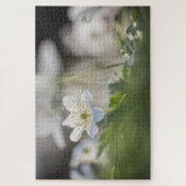 ウィンドフラワー自然写真 ジグソーパズル (縦)