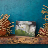 ウィンドフラワー自然写真 フォトプラーク (側面)