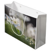 ウィンドフラワー自然写真 ラージペーパーバッグ (正面アングル)