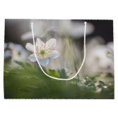 ウィンドフラワー自然写真 ラージペーパーバッグ (裏面)