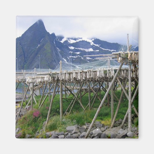 ウィンドマグネットで乾燥 マグネット (正面)