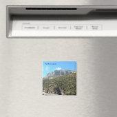 ウィンドリバーキャニオン磁石 マグネット (インサイチュ (食洗機))