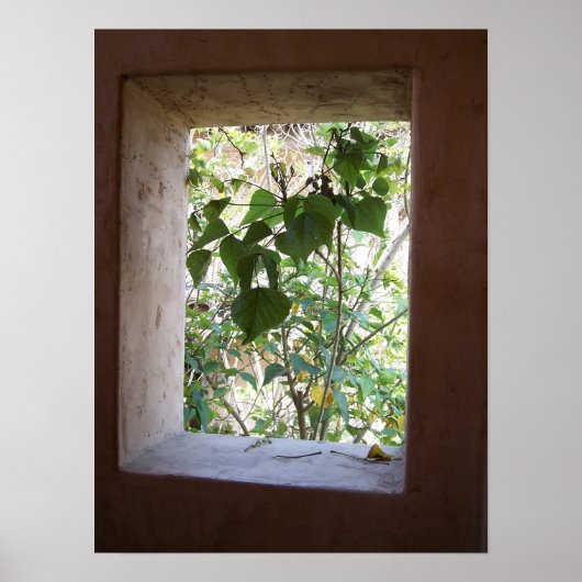 ウィンド素朴ウ ポスター (正面)