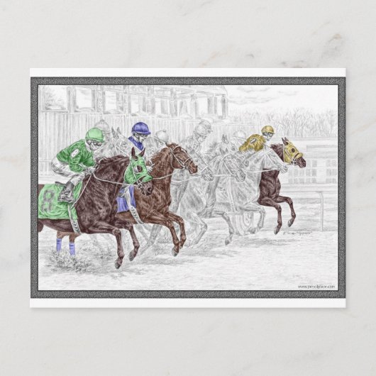 ウィンプレイスショーレースウマ ポストカード (正面)