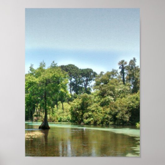 ウィーキ・ワシー・フロリダの春川 ポスター (正面)