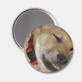 ウィークエンドデクスターベマグネット マグネット (正面/裏面)