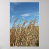 ウィートグラス ポスター (正面)