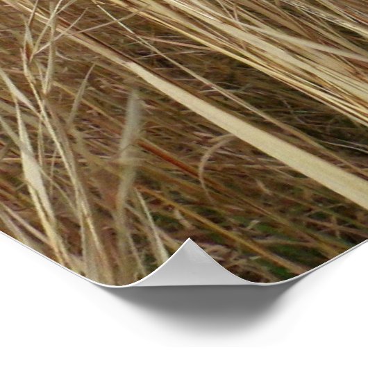 ウィートグラス ポスター (角)