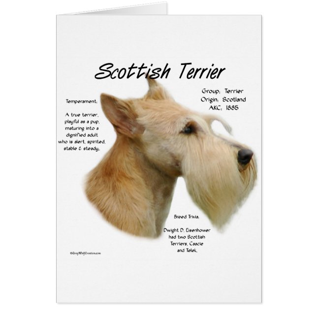 ウィートスコットランドの歴史 (正面)