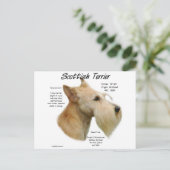 ウィートスコットランドの歴史 ポストカード (スタンド正面)