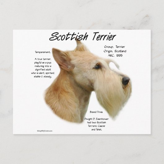 ウィートスコットランドの歴史 ポストカード (正面)