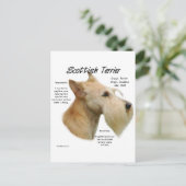 ウィートスコットランドの歴史 ポストカード (スタンド正面)