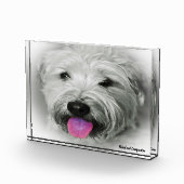 ウィートテリアの犬 フォトブロック (右)