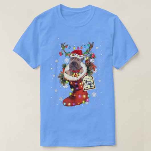 ウィートテリアクリスマスブートクリスマスソックウィンターSn Tシャツ (デザイン正面)