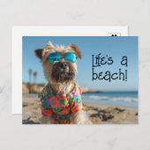 ウィートテリアパピーはサングラスをかけている ポストカード (正面/裏面)