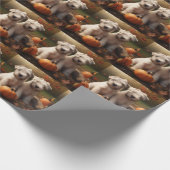 ウィートテリアパピーオータムデライトカボチャ ラッピングペーパー (角)