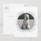 ウィートテリア ポストカード (正面/裏面)