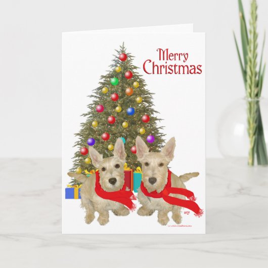 ウィートンスコティッシュテリアチャーストマ シーズンカード (正面)