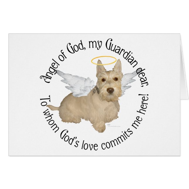 ウィートンティッシュテリアエンジェルス (正面横)