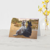 ウィートン&ブラックスコティッシュテリア カード (黄色い花)