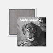 ウィーナーいけな犬 マグネット (正面/裏面)