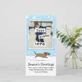 ウィーナードックスノースクリスマス |写真のDachshund シーズンカード (スタンド正面)