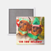 ウィーナードッグクリスマス小妖精や小人 マグネット (正面/裏面)