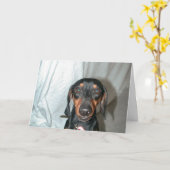 ウィーナー語 カード (黄色い花)