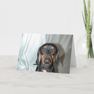 ウィーナー語 カード