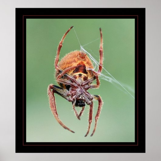 ウィーバーさん ポスター (正面)