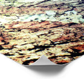 ウィーバーバードのポスター – R - 1948 ポスター (角)