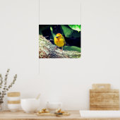 ウィーバーバードのポスター – R - 1948 ポスター (キッチン)