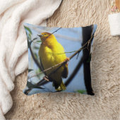 ウィーバーバード枕 クッション (ブランケット)