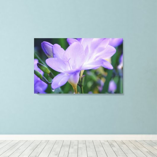 ウィーピングフリーシアフラワーフォトアート キャンバスプリント (インサイチュ (ウッドフロア))