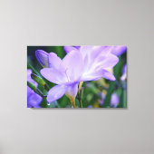 ウィーピングフリーシアフラワーフォトアート キャンバスプリント (正面)