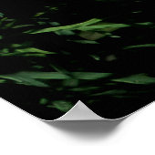 ウィーピングホワイトダリア ポスター (角)