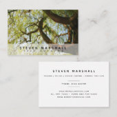 ウィーピング·ウィロー·ツリー外科医ユーロ 名刺 (正面/裏面)