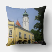 ウィーンオーストリアを粉砕するホイリガー クッション (裏面)