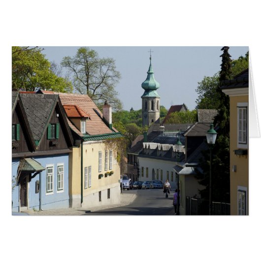 ウィーンオーストリア，グラインジング (正面横)