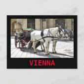 ウィーンファイカーウィットホワイトホース – ポストカード (正面)