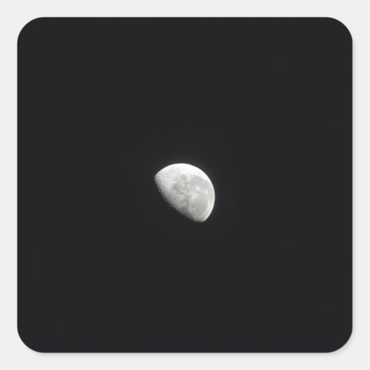 ウィーンムーン2 スクエアシール (正面)