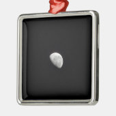 ウィーンムーン2 メタルオーナメント (左)