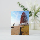 ウィーンメリーランドウォーターフロント – ナンティコーク川 ポストカード (スタンド正面)