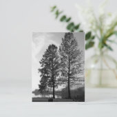 ウィーンメリーランドウォーターフロント ポストカード (スタンド正面)