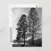 ウィーンメリーランドウォーターフロント ポストカード (正面/裏面)